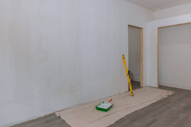 Best Ceiling Drywall Installation  in Argentine, MI